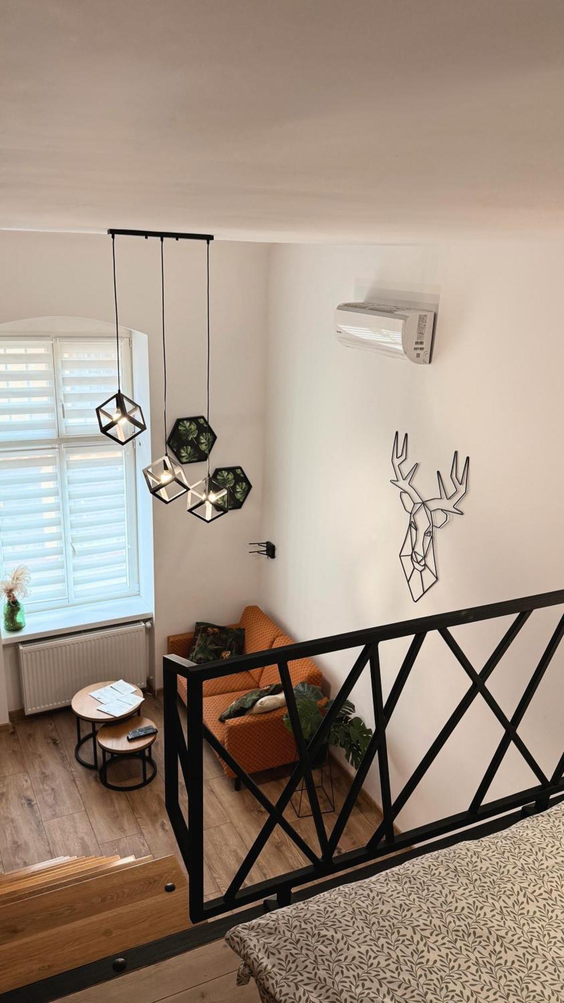 Apartamenty Dream Place Z Klimatyzacja Stary Toruń 外观 照片